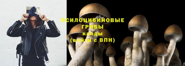 2c-b Бронницы