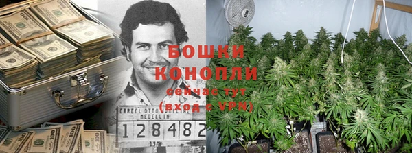 2c-b Бронницы